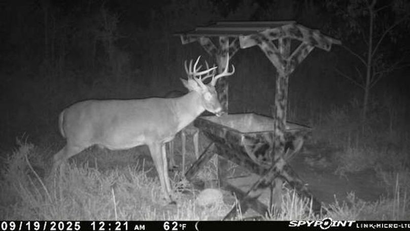 trail cam 4