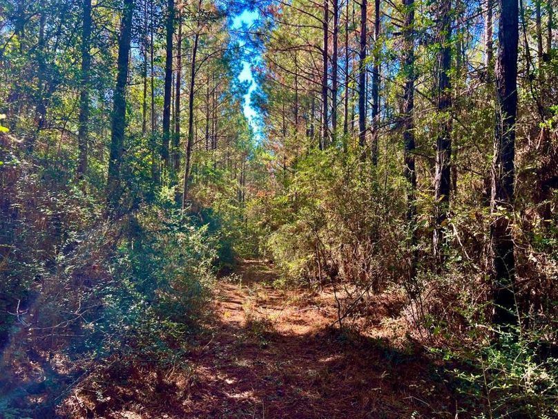 9F61F9EF-9A40-4D2D-A0D9-2016D6CA19F3_1_201_a