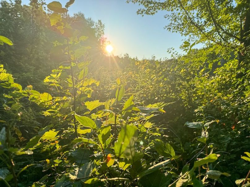 Pantzke Ground Photos-03