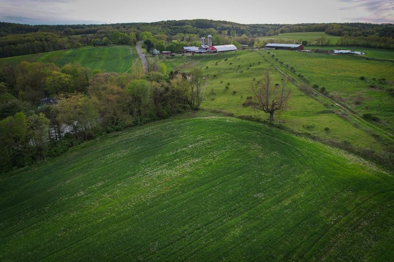Tioga_116.52_Moore_Photo_78