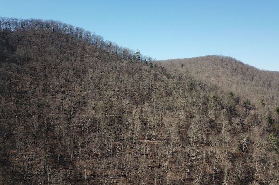 DJI_0045