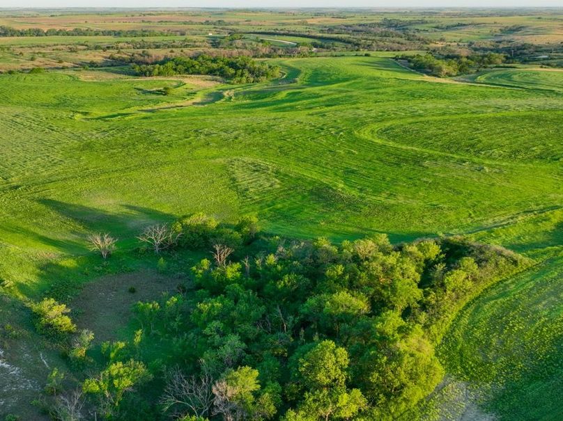 dji_fly_20250512_065214_115_1747051039844_photo