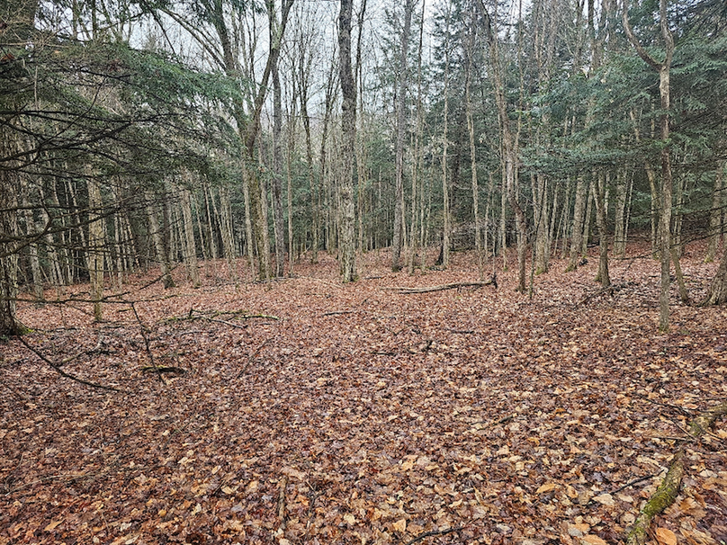 photo_5df88cae-b57a-45bd-80c2-896056722278