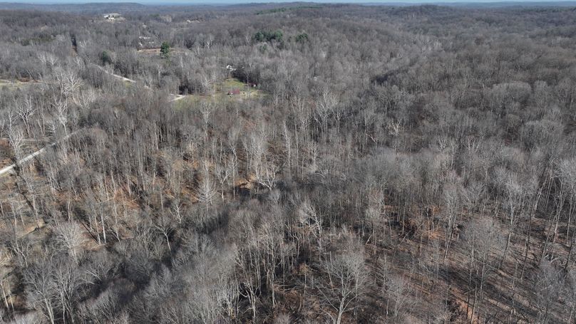 dji_fly_20231130_113656_0119_1701362512953_photo