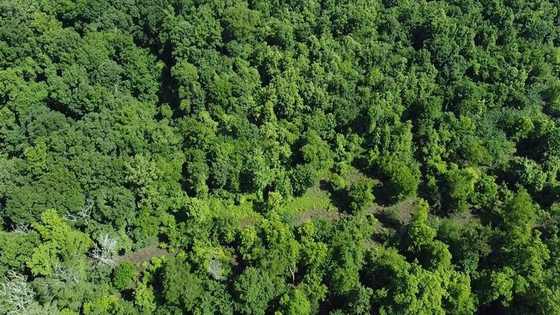 2024-06-01-10-32-00-320