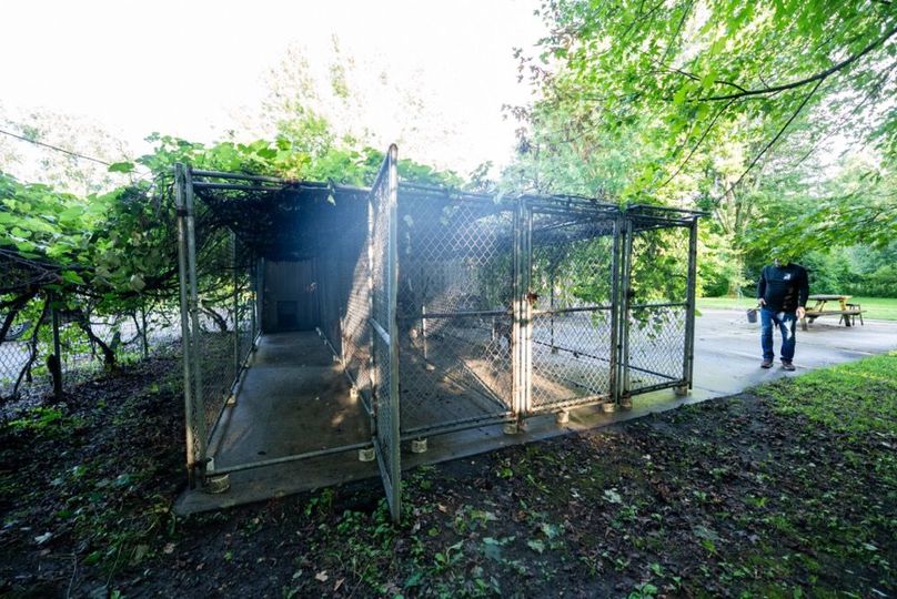 LivingstonMI41.75-156