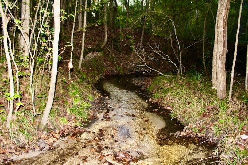 128C5BF6-B6E6-452E-9558-F241168036B5_1_105_c