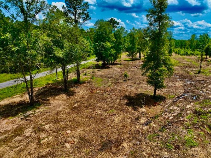 918CEE91-17B1-40C4-9F31-8F244018021E_1_105_c