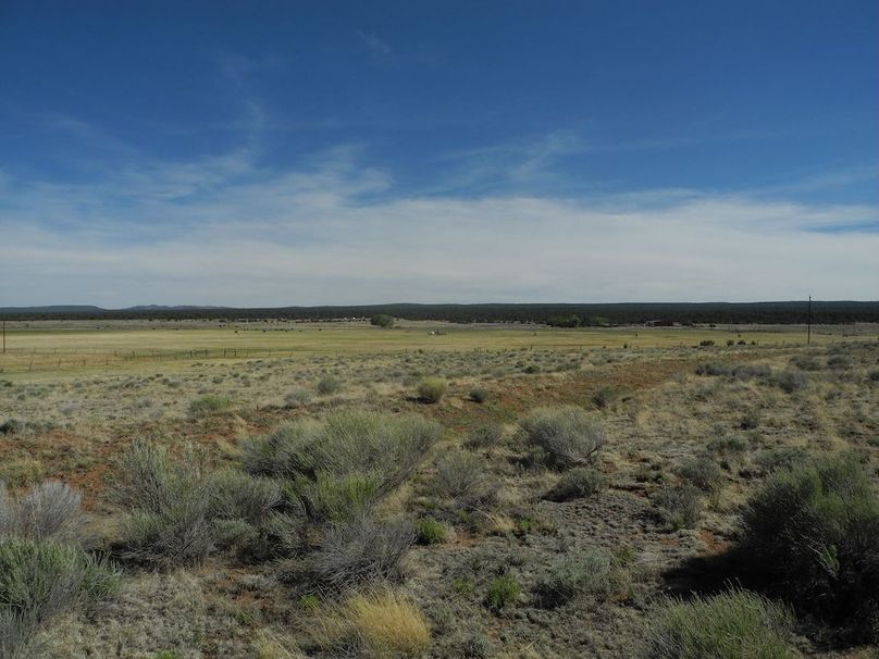 32_Pratt green hay field