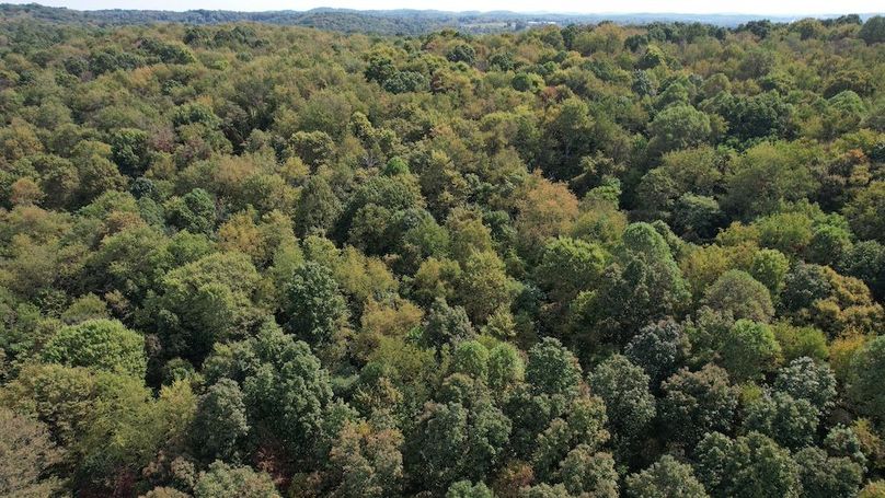 dji_fly_20250916_115510_755_1758038477903_photo