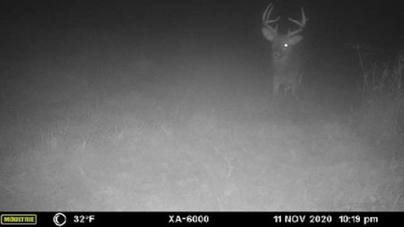 C5D6A6DB-7CF4-4161-BA2B-4F920EC64506