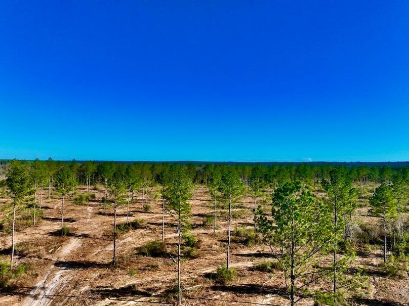 9310AB18-86B0-4A47-BA2A-25DE5A3C34E2_1_201_a