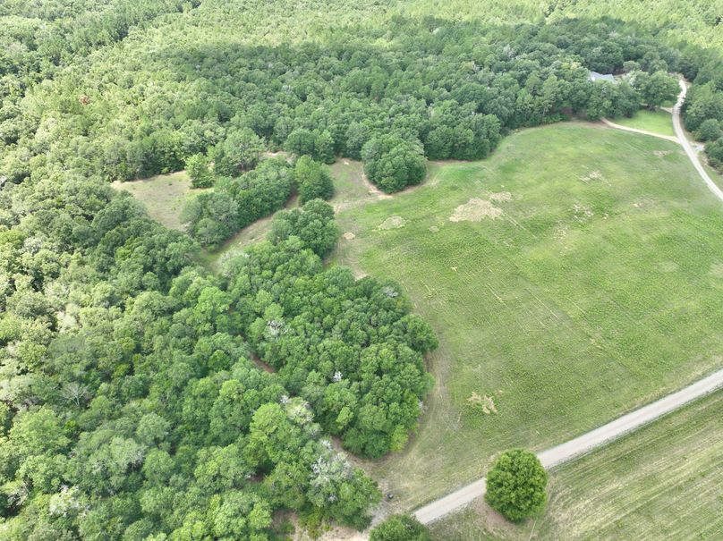 dji_fly_20230731_132244_436_1690845825707_photo