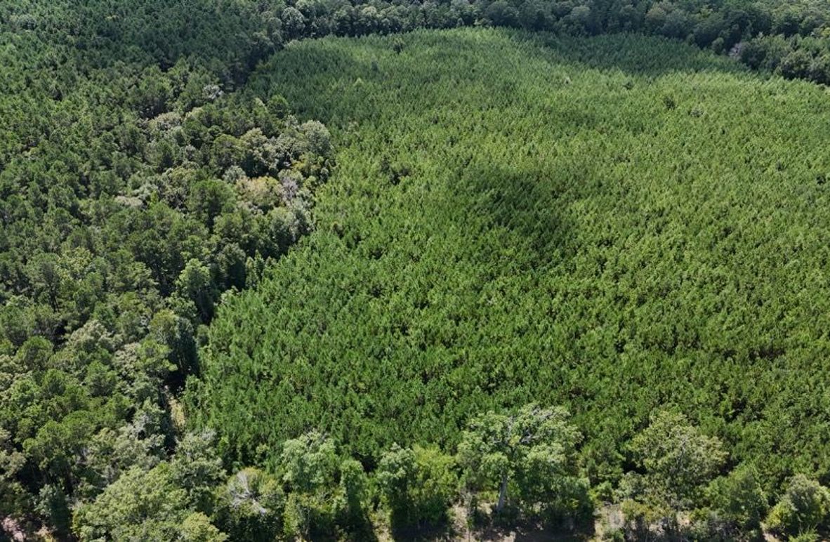 DJI_20250727033648_0542_D