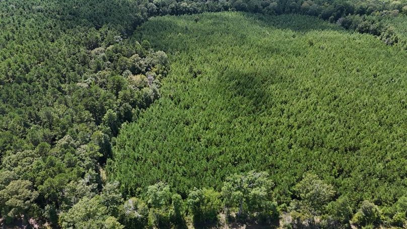 DJI_20250727033648_0542_D