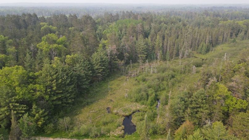 DJI_0930