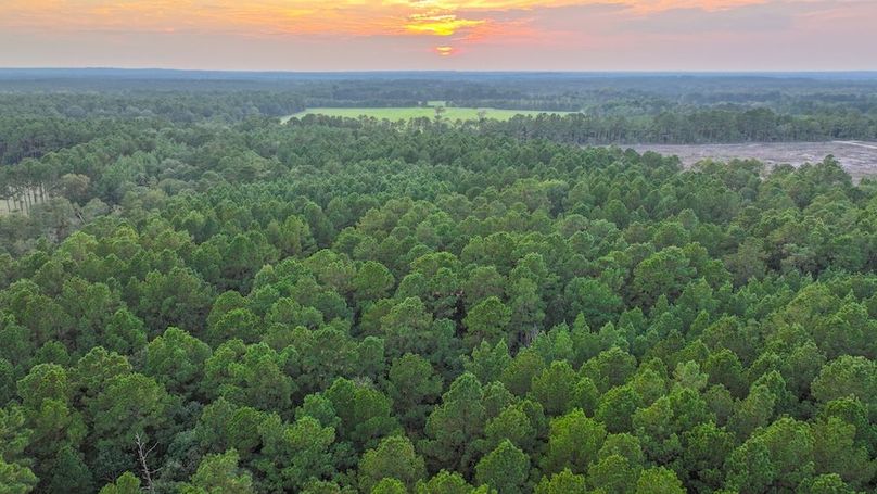 DJI_20250918185336_0287_D