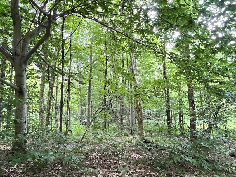 Oswego_133.72_Middleton_Photos_42