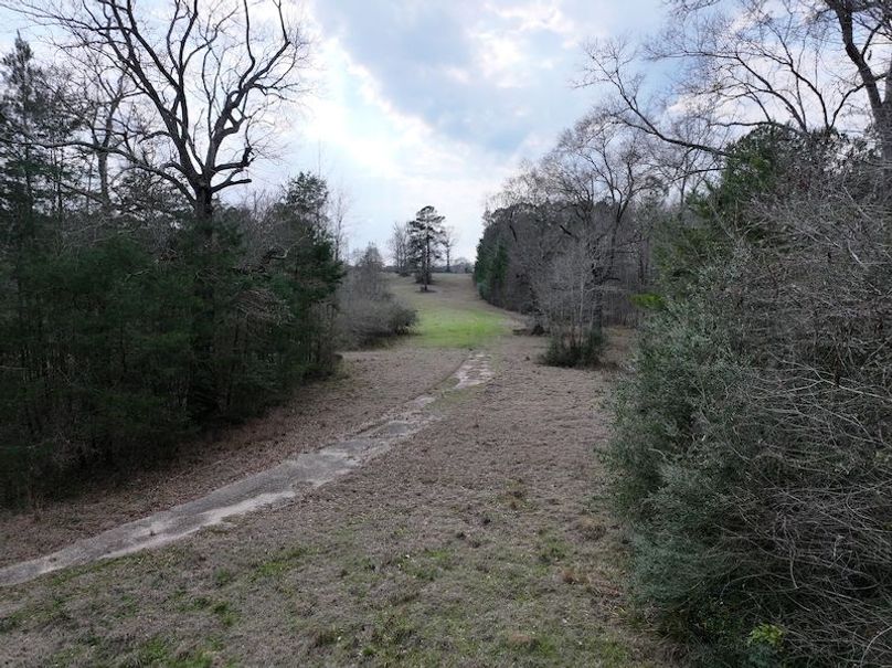 dji_fly_20260220_140918_0264_1771638831526_photo