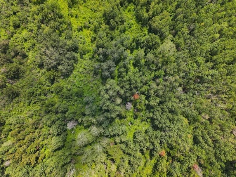dji_fly_20240801_130720_0126_1722616716737_photo (1)
