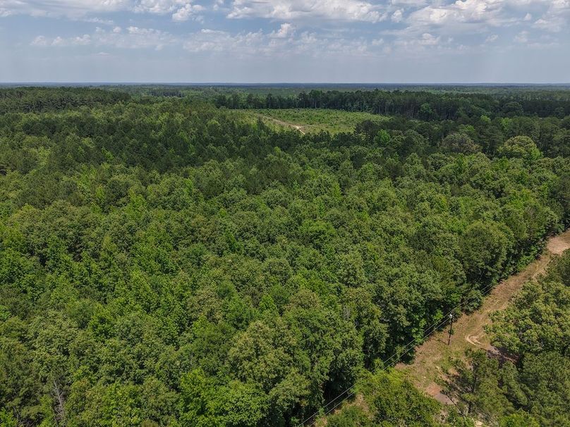 DJI_20260509035712_0066_D
