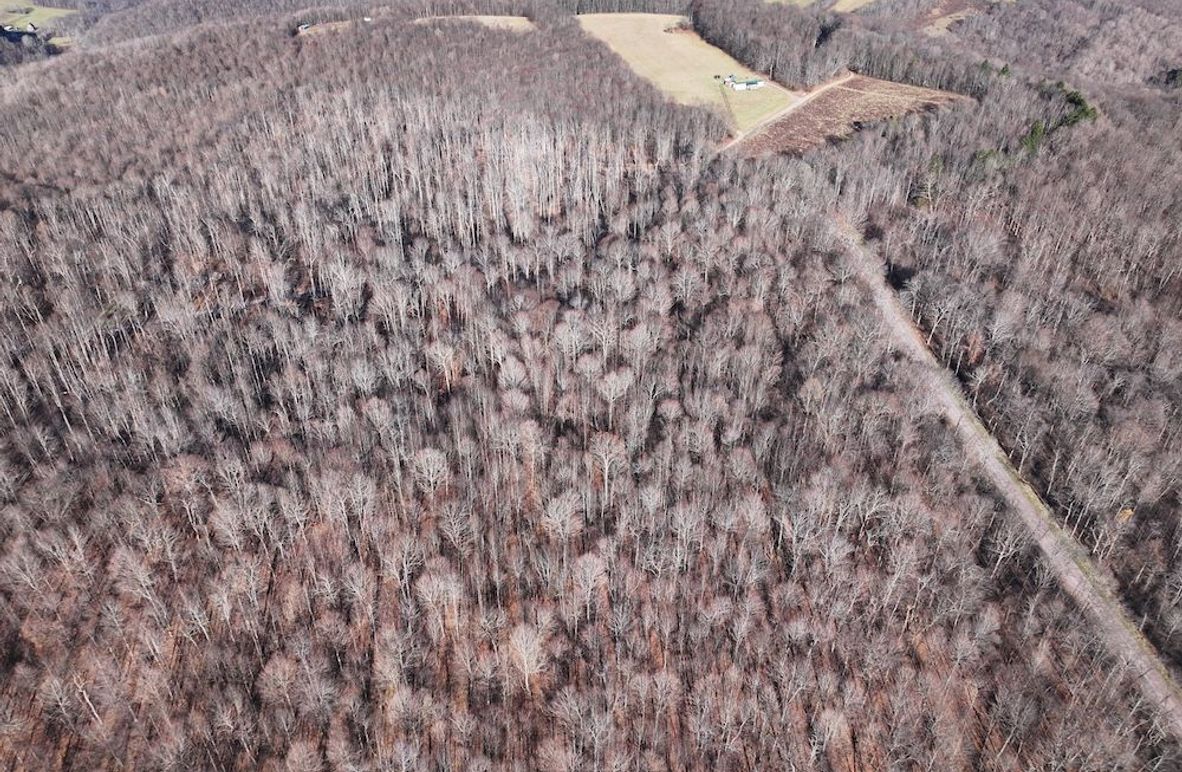 DJI_20241127034443_0822_D