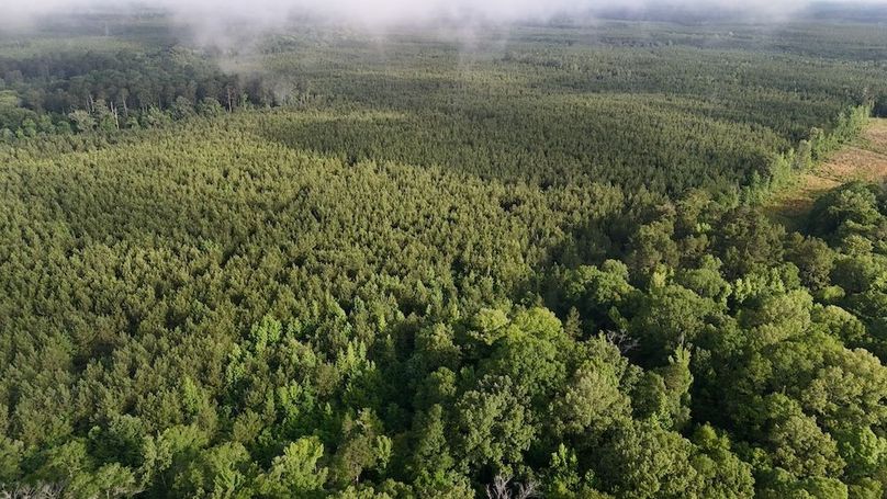 Copy of DJI_20250529205804_0522_D