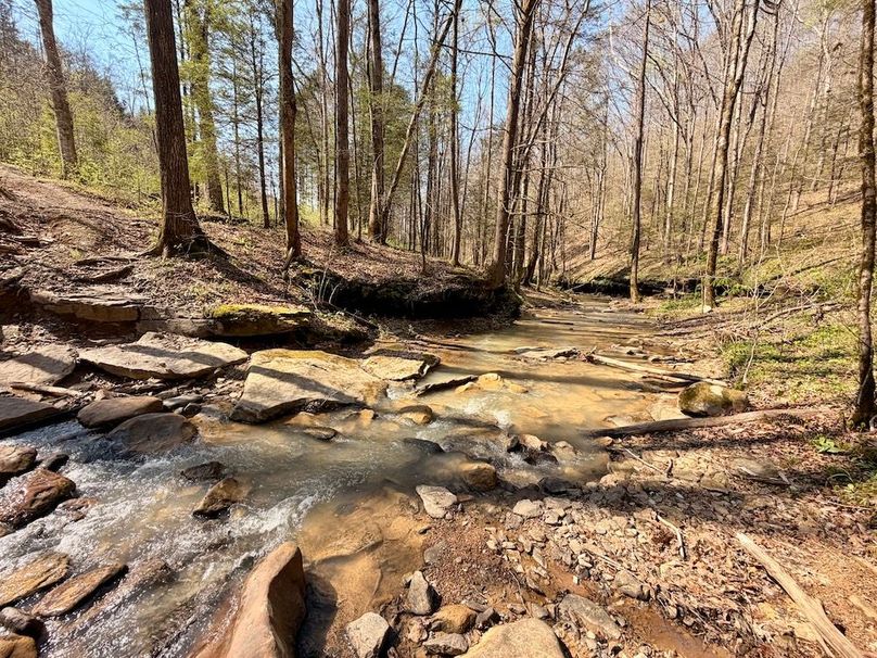 Scott Co TN 286 Keeton_031