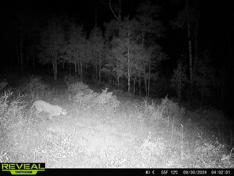 Copy of 864049052055672-30-4-09302024040200-HD-W1001291 (1)