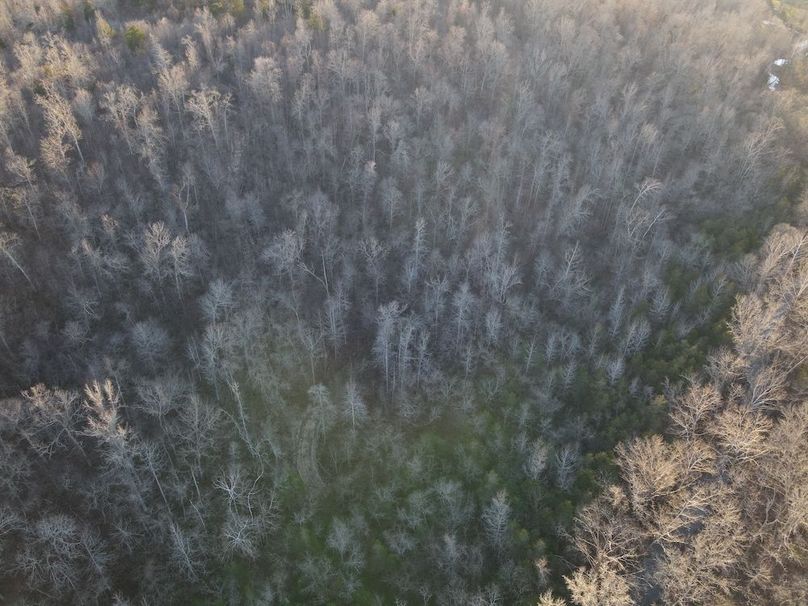DJI_0311