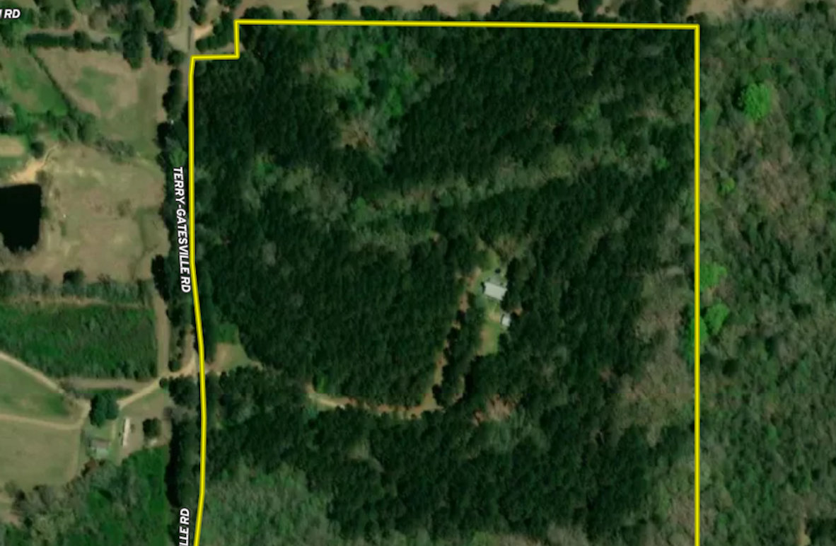 38 ac. Copiah co. Aerial Boundary