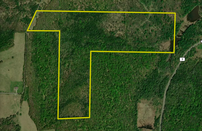 Chemung_78.26_Gutchess_Lumber_Landid_2