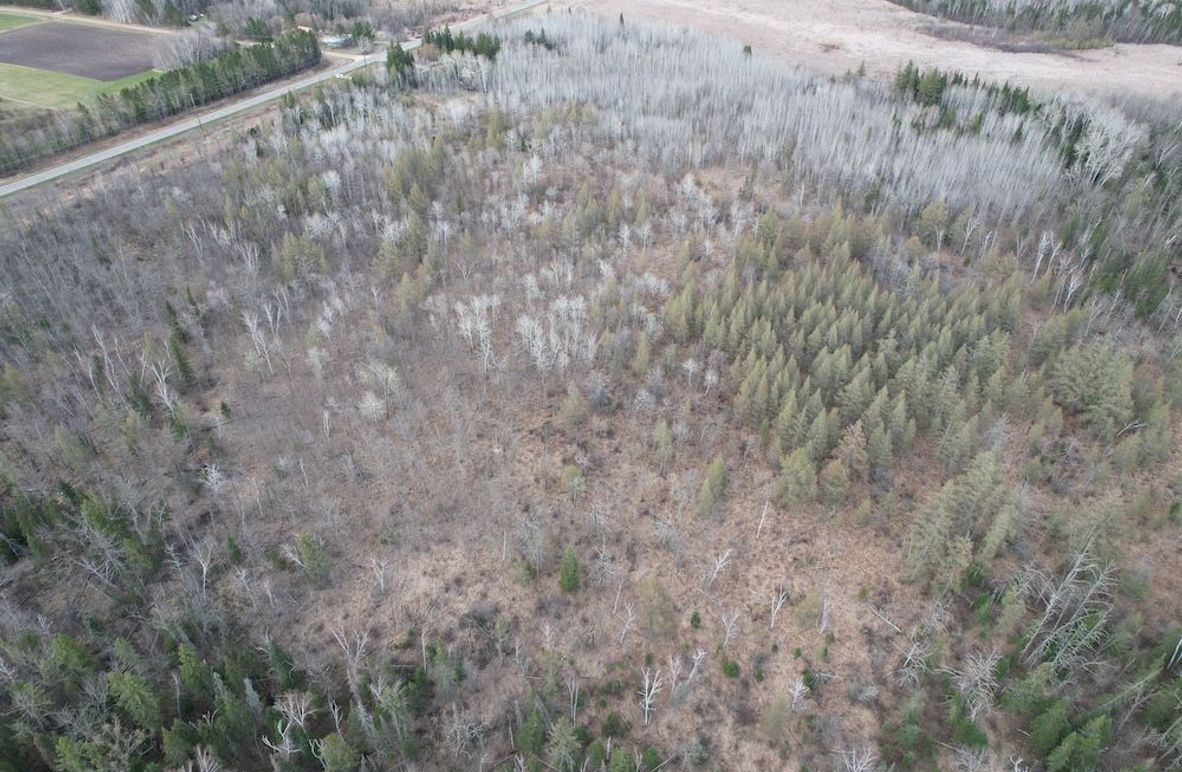 dji_fly_20260509_184722_286_1778370756255_photo