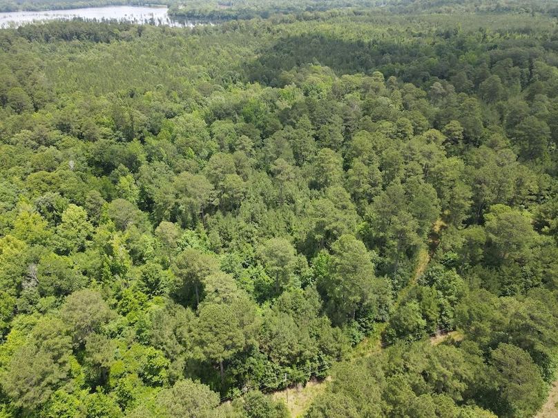 DJI_0263