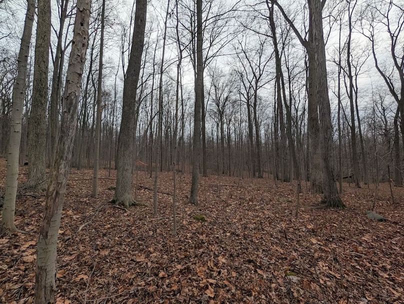 PXL_20251120_185857697