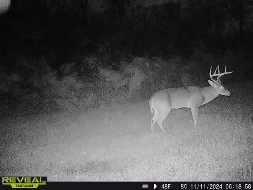 862515041535786-90-5-11112024061858-W1000925