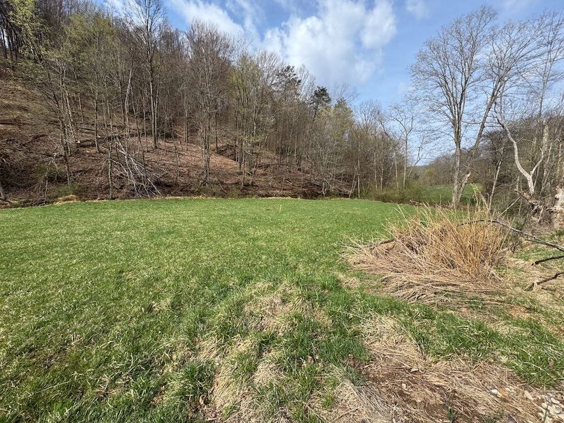 Ritchie, WV 206.08 AC Curriden-70