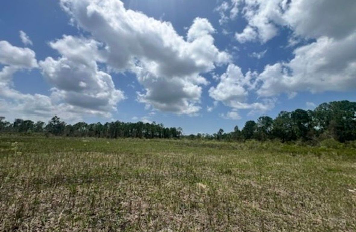 4B8EC878-1019-4733-9F9B-13B714F1C549_4_5005_c