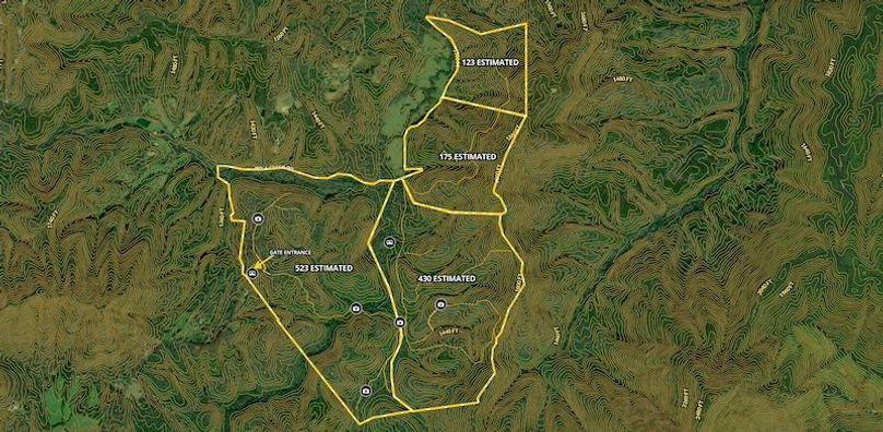 Screenshot 2025-08-19 at 1.16.53 PM