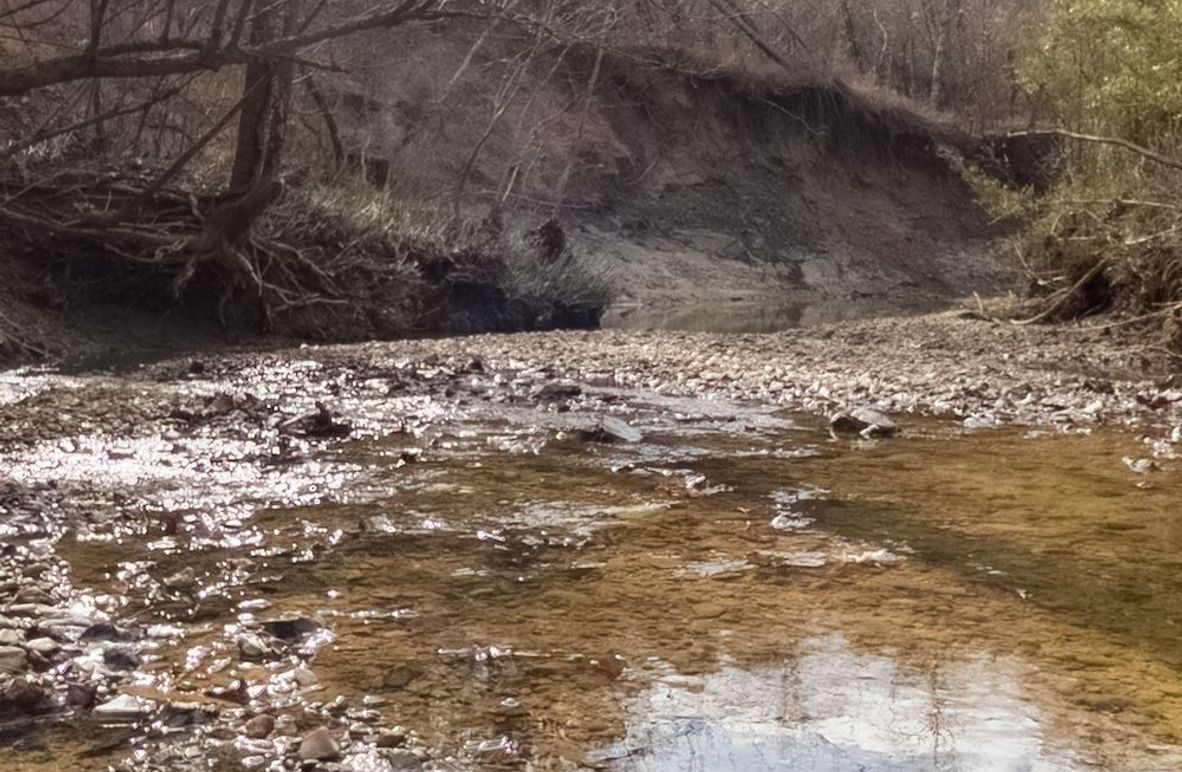 Yazoo Co - 75 - Batton-01