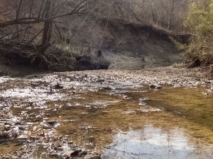 Yazoo Co - 75 - Batton-01