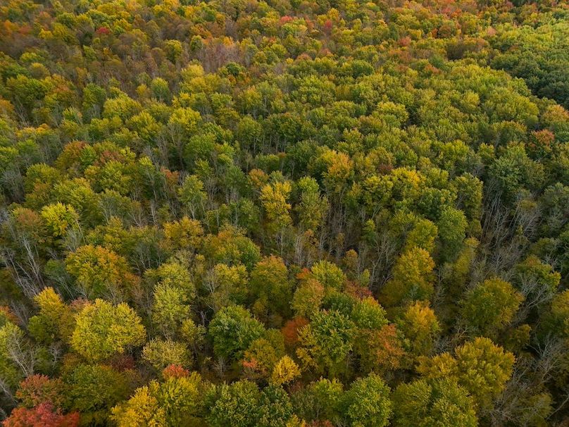 Wayne_29.09_BD_LandParcel_21