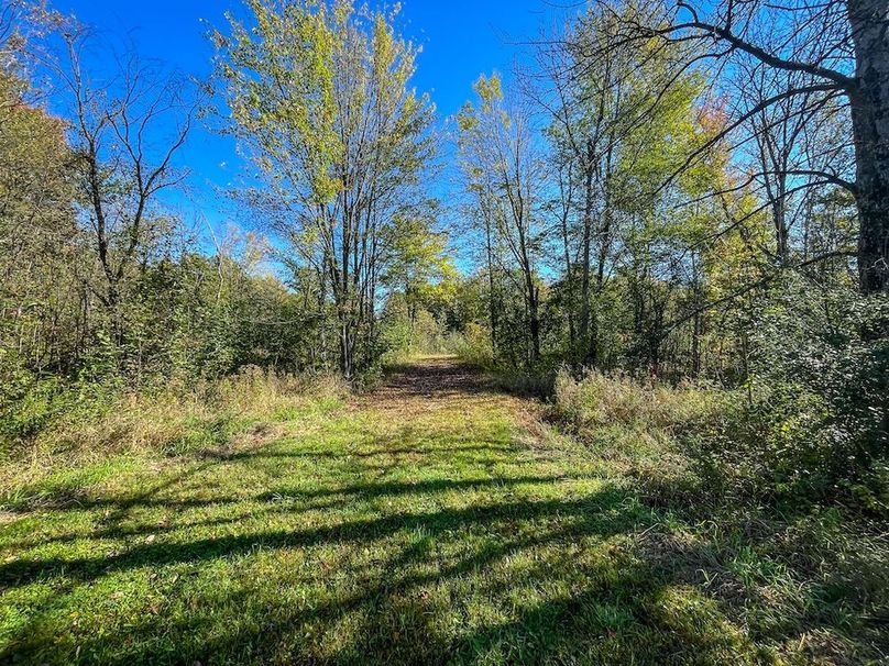 Wood 41.451, Collins -20