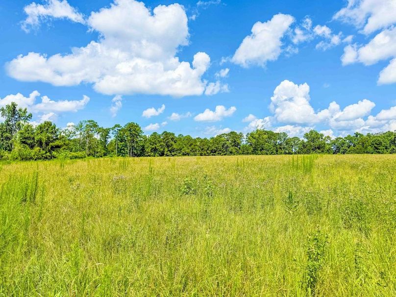 Copy of untitled-5-1