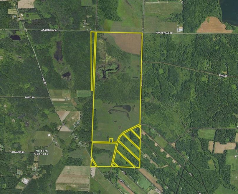 Screen Shot 2023-11-01 at 12.20.50 PM