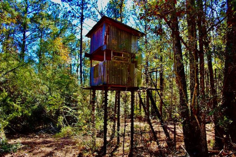 C7AA6548-5708-4078-85B0-CE03C39A2B61_1_105_c