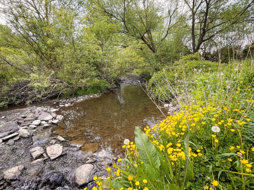 Tompkins_10.85-Gregrow_Photos_19