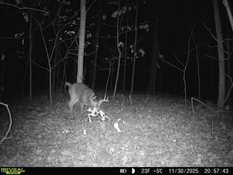 860516067473565-0-3-11302025205742-V-W1000701