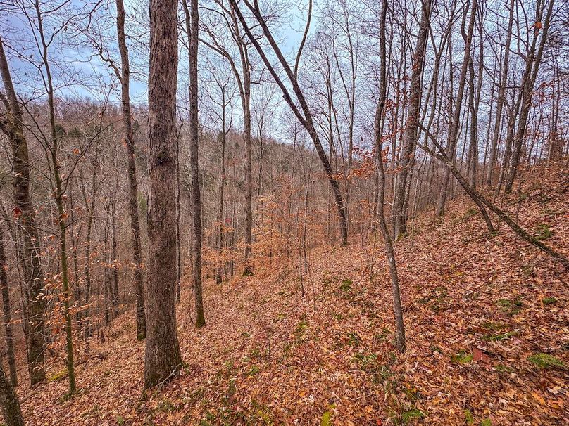 Ritchie, WV 15.5 AC Harper-16