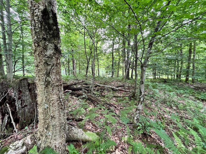 Oswego_133.72_Middleton_Photos_35